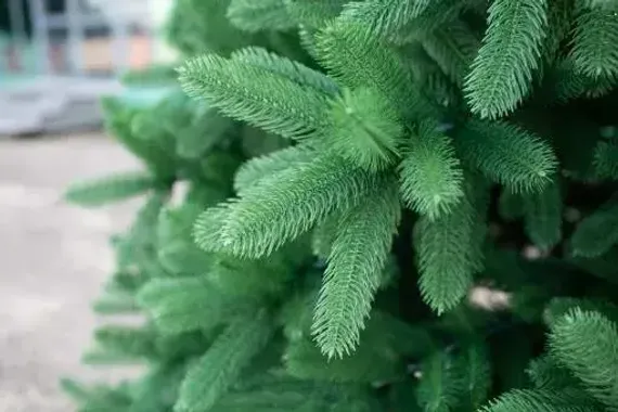 Интерьерная искусственная елка Клеопатра Люкс 5 м., ствольная, 100% Литая хвоя, Green Trees (GT5KLEO)