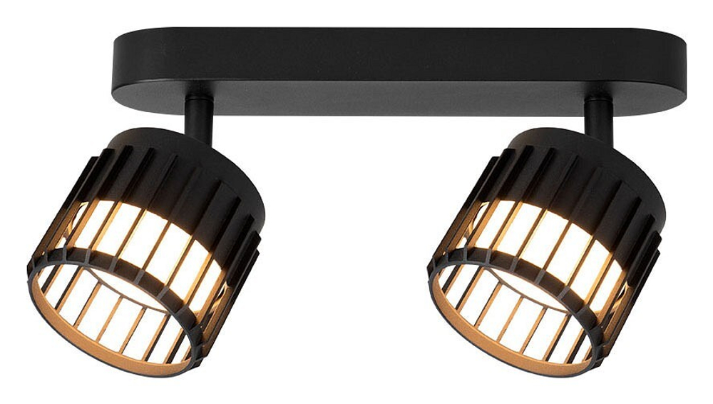 Спот Arte Lamp Atria A8031PL-2BK