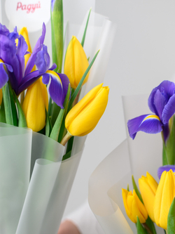 Дуо букет Ирисы и Тюльпаны