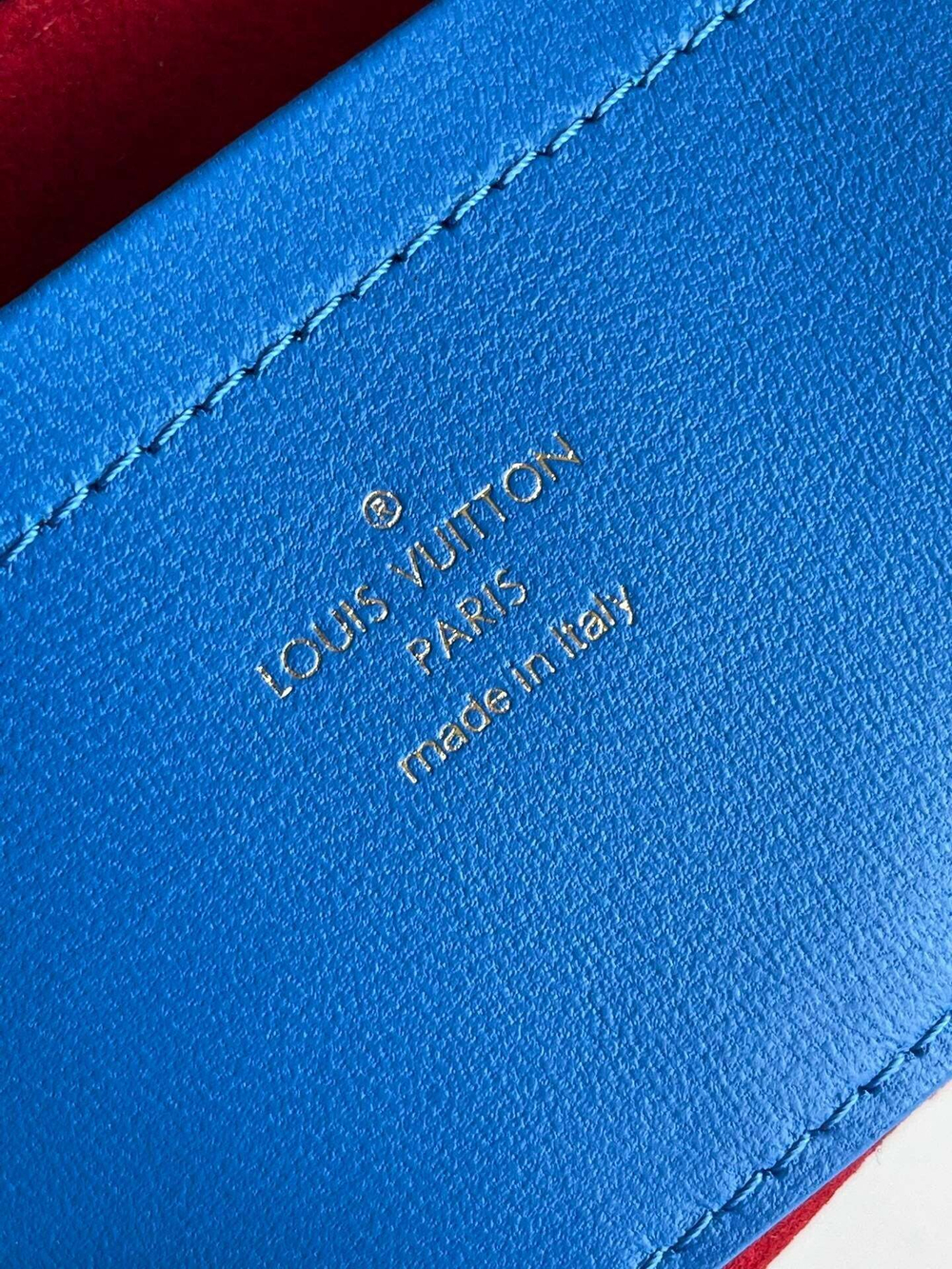 Louis Vuitton Pochette Coussin
