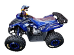 Квадроцикл MOTOLAND 125 COYOTE PRO