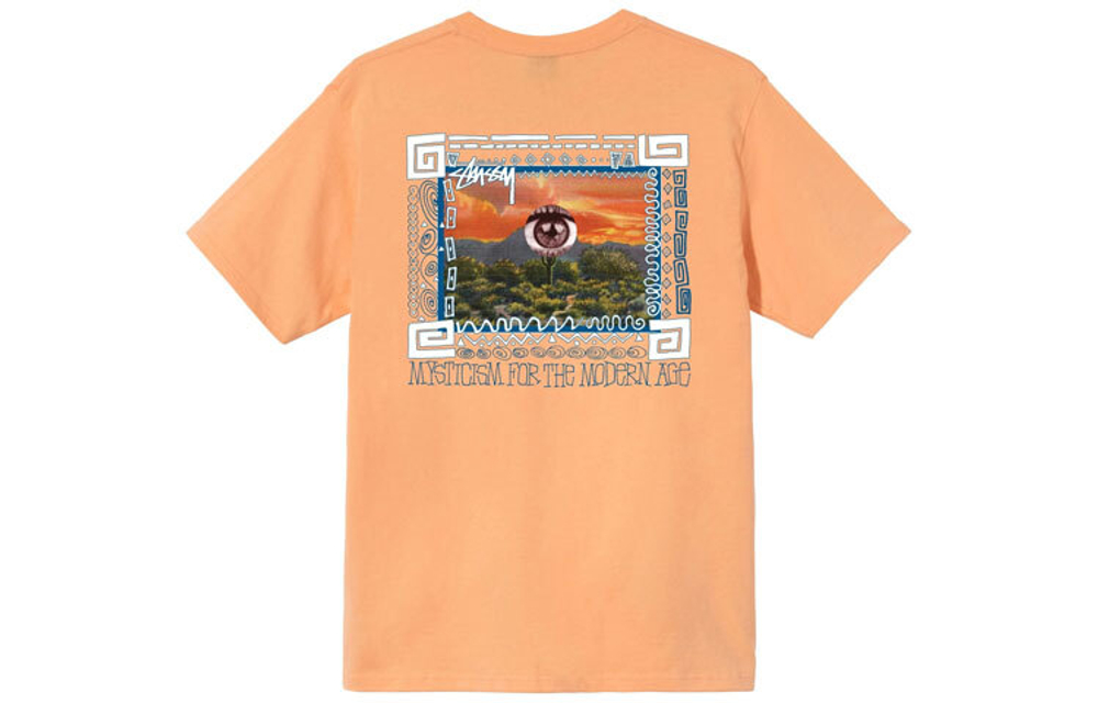 Футболки Stussy T, 1904661