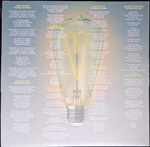 Peter Frampton / Carry The Light (Limited Edition)(Coloured Vinyl)(LP)