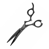 Ножницы парикмахерские для креативных стрижек, пойнтинга, слайсинга 6.0" Artero Evoque T51060