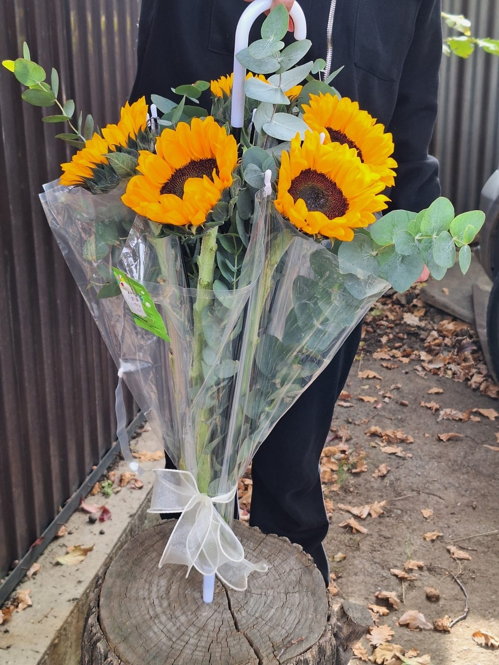 Подсолнухи в зонтике