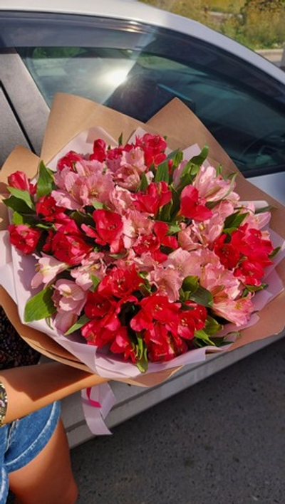 Попугайчик