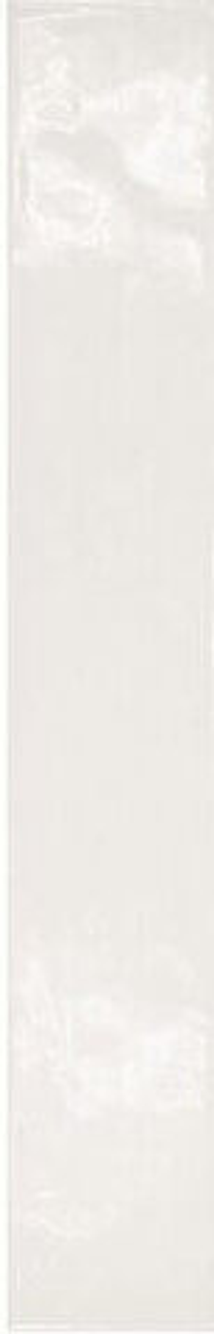 Equipe Country Blanco 6.5x40