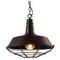 Подвесной светильник Arte Lamp Ferrico A9183SP-1BK