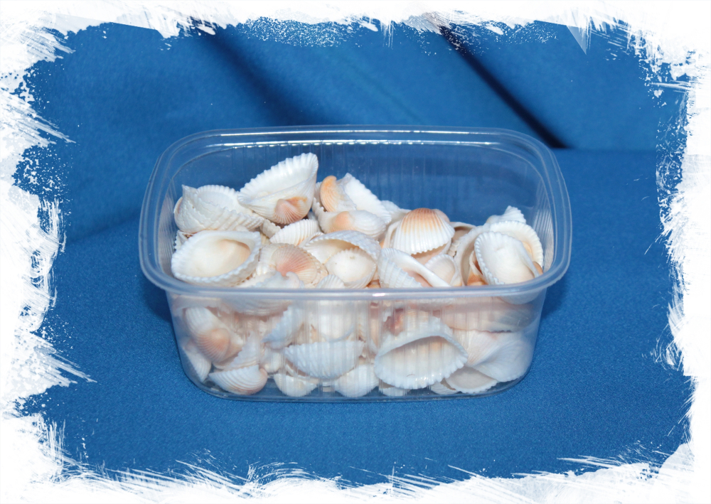 Аномалодискус Скюаносус в упаковке на вес