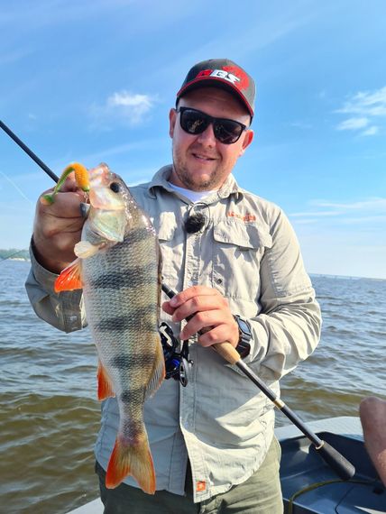 Виброхвосты съедобные LJ Pro Series Spark Tail 4,0in (10,1 см), цв. T56, 5 шт.