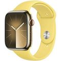Apple Sport Band for Apple Watch 38|40|41mm Ginger (Жёлтый) MGQR3ZM/A