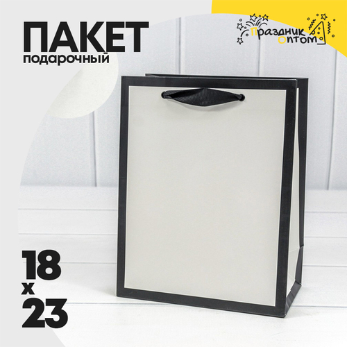 Пакет подарочный 18х23х10см "Рамка широкая" (Белый, Черный)