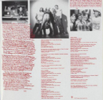 Red Hot Chili Peppers / Greatest Hits (CD)