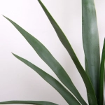 Дерево искусственное «Пальма Юкка» 100см в горшке