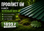 Профлист НС 20 (Н-Эконом) 6 м РАЛ 6005 Мох
