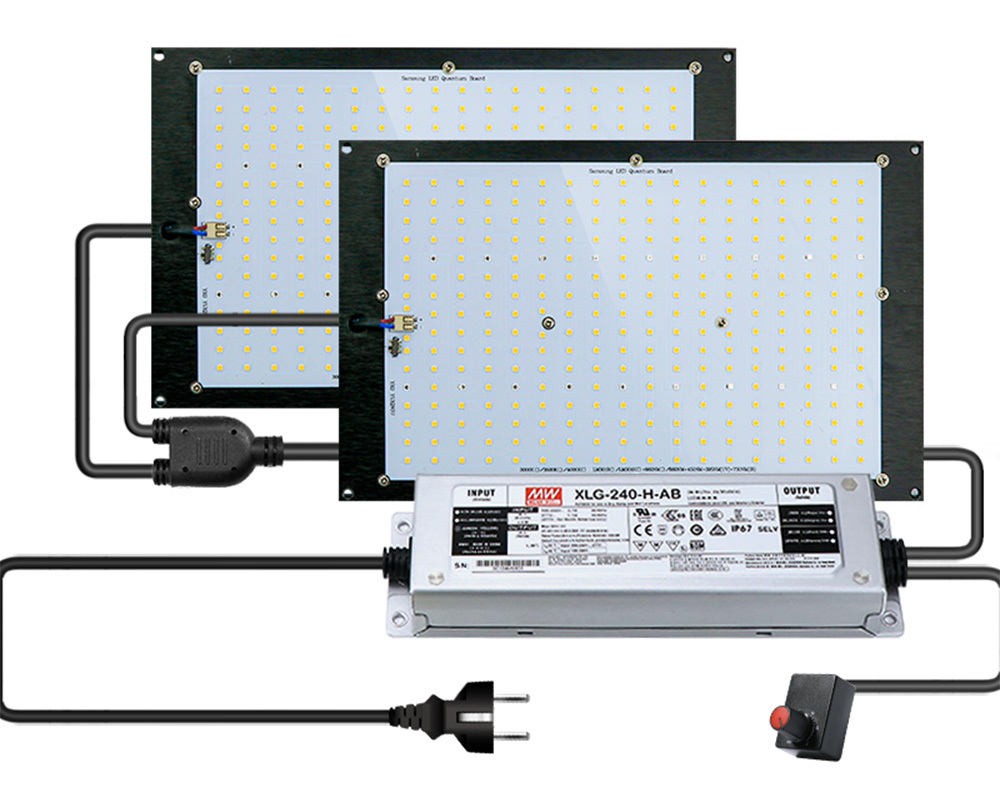 Samsung Quantum Board 240w LM301H