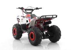 Квадроцикл MOTAX GRIZLIK A110