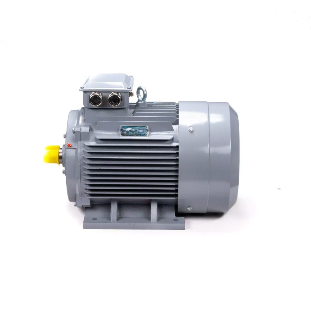 Электродвигатель ESQ PR 355 S4 GST-Б1-S32-IE2 250/1500 IM1001