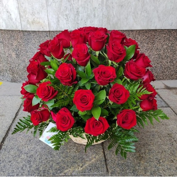 Корзина с 51 розой сорта "Эксплорер" (Эквадор 60 см)