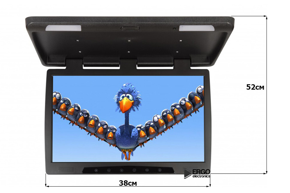 Монитор потолочный - ERGO ER22H с экраном 22” (LCD 1680x1050) черный