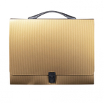 Папка-портфель на застежке Alingar, А4 360х265х40 мм, пластиковая, 800 мкм, ассорти, матовая, карман для визитки, "Flossy"