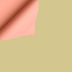 Пленка 2-х сторонняя 58*10м СВЕТЛАЯ №1