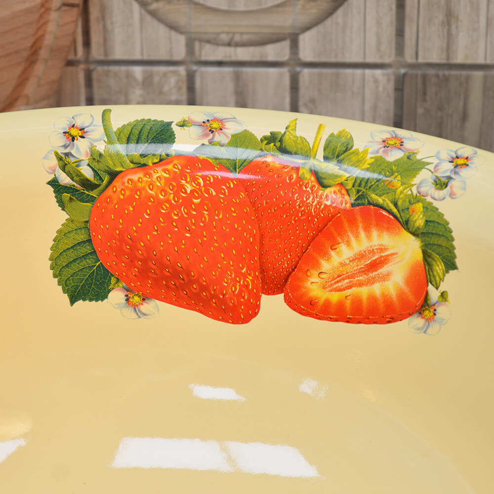 Таз 10л с рисунком