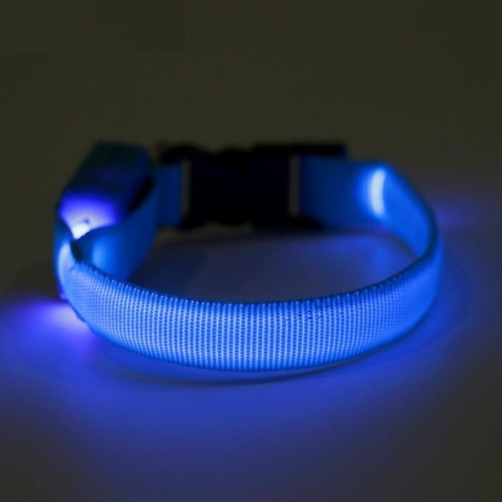 Ошейник светящийся узкий для небольших собак, 3 режима, 26см, Голубой