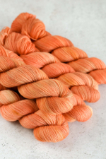 пряжа "Пэт Остин" Wool Sock Stu