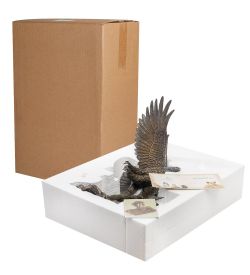 Veronese WS-591 Статуэтка «Орел»