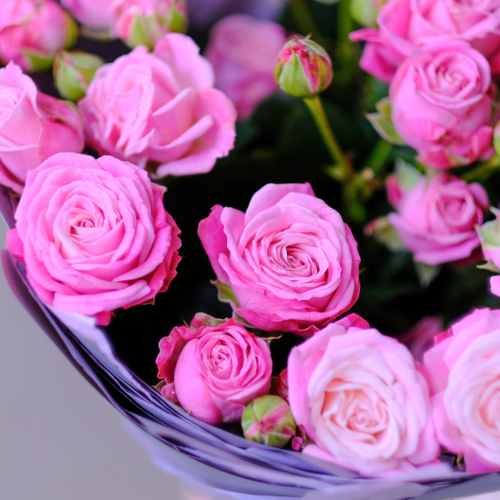 Купить Букет пионовидных кустовых роз #538