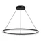 SL1018.413.01 Светильник подвесной ST-Luce черный/прозрачный LED 1*54W 4000K EUCLIDICS