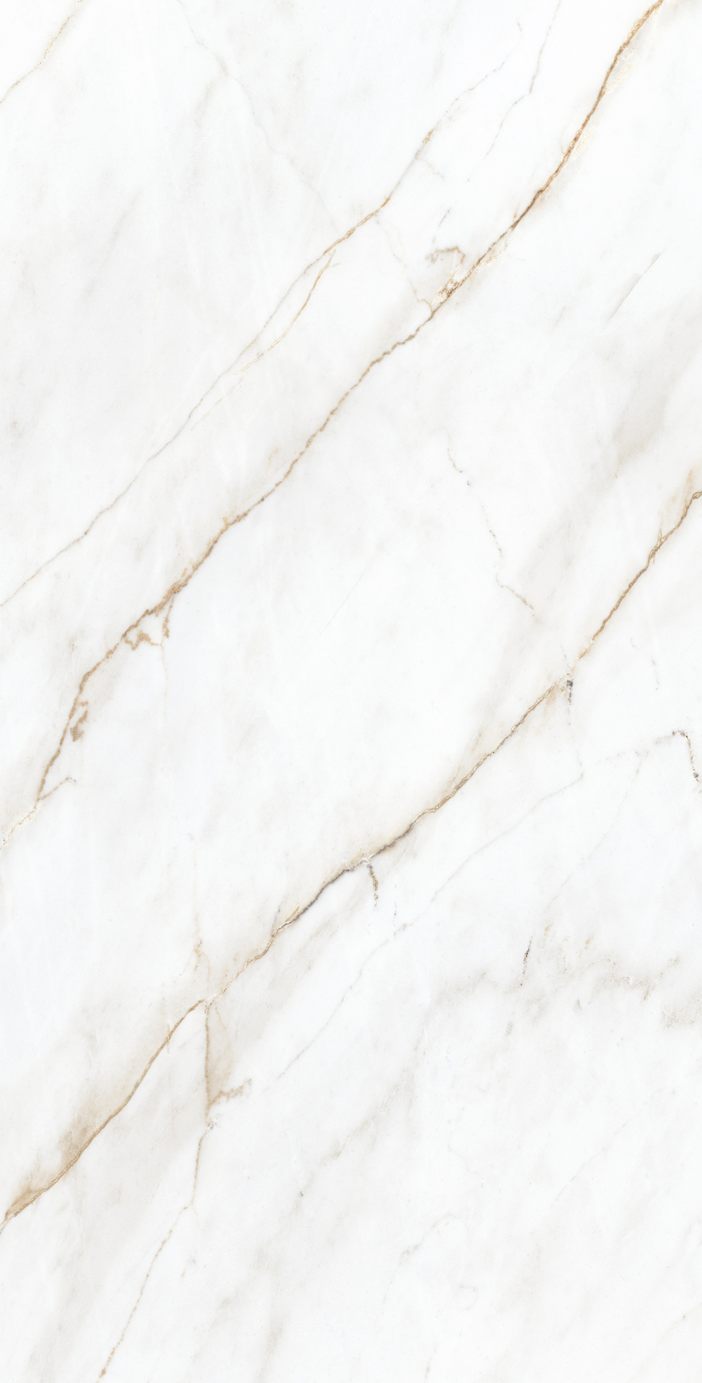 Керамогранит, Creanza, SELVA GOLD, 1200x600 мм, карвинг про