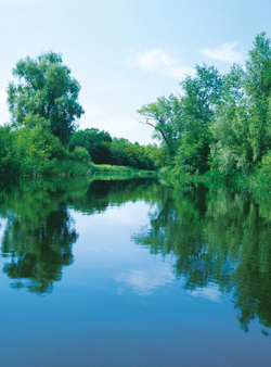 Коллекция Пейзаж