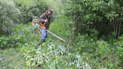 Триммер бензиновый STIHL FS 120, 1.8 л.с.