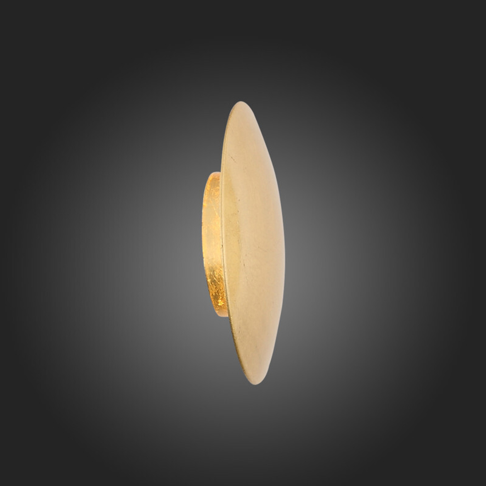 Настенный светильник ST-Luce SL457.201.01