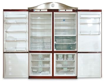 Холодильник Renova FRR020