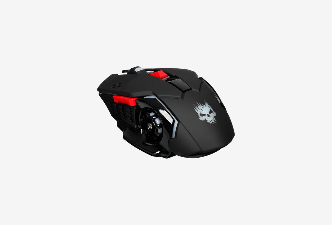 Aceline GS Eternity_0426327100934