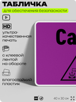 Табличка для обеспечения безопасности "CaOH", для производства, предприятия, организаций, 40х30 см, Silver Plane x Айдентика Технолоджи