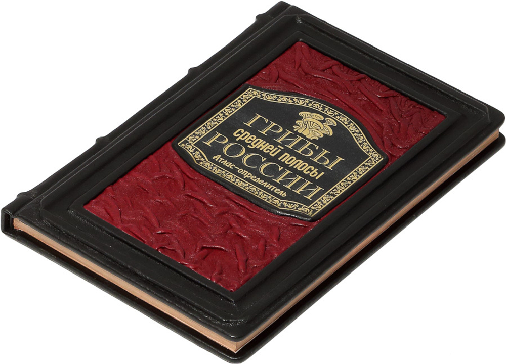 Грибы средней полосы России