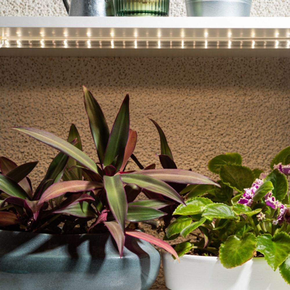Светильник для растений фитолампа светодиодная линейная ЭРА FITO-10W-Т5-PFR-Slim-GR полного спектра 10 Вт GREEN LINE | Линейные фито светильники