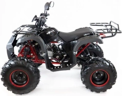Квадроцикл MOTAX ATV Grizlik 7 110 cc