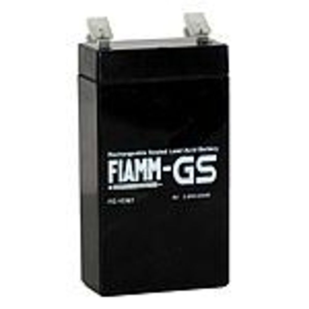 Аккумулятор FIAMM FG24204