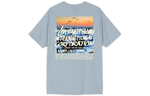 Футболки Stussy Clear Day Tee T, 1904502-SLAT