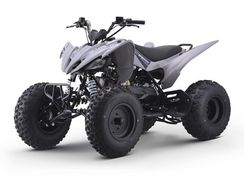 Квадроцикл SHARMAX Raizer Race Cup 250