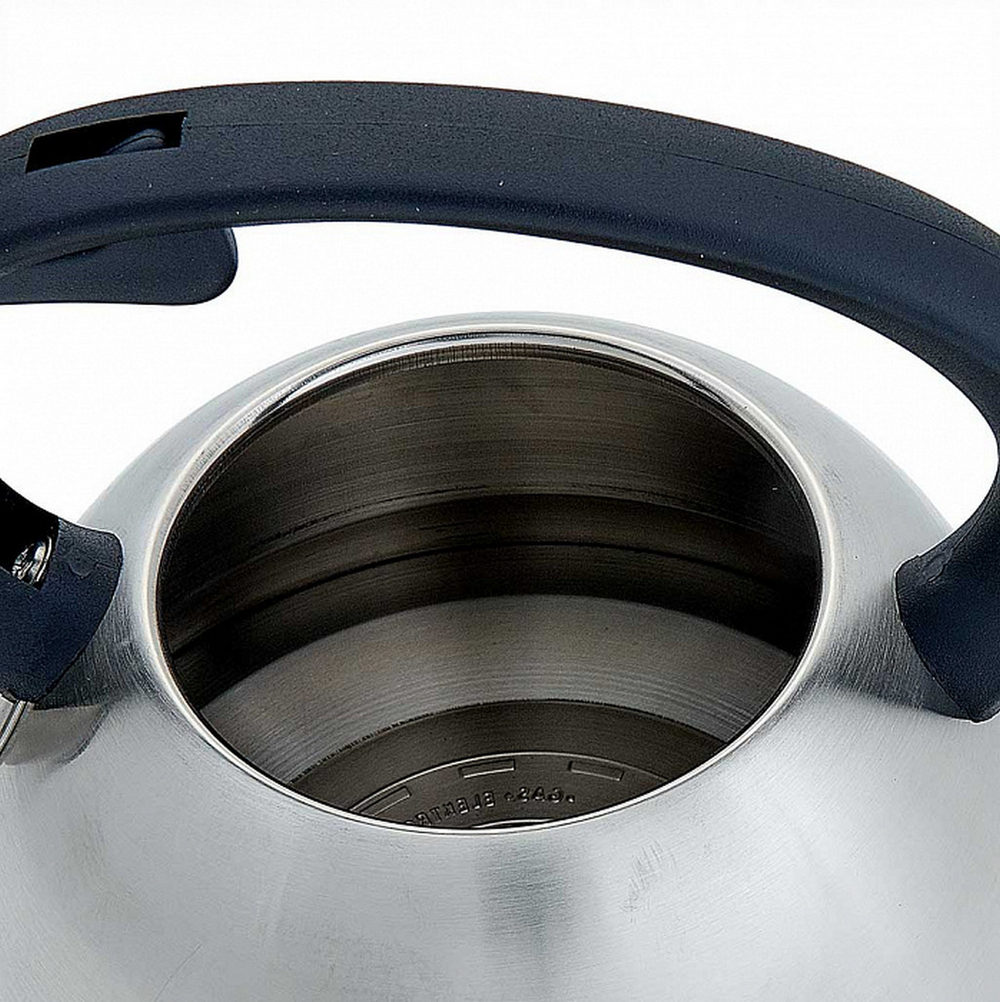 Чайник со свистком Webber ВЕ-0554 для плит 2,5л
