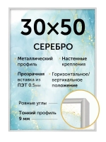 Металлическая фоторамка 30х50 см