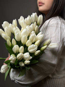 Букет белых тюльпанов "Альбатрос"