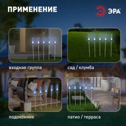 Светильник уличный ЭРА ERASF23-13 Камыши на солнечной батарее садовый высота 60 см 5 шт 5 LED | Садовые декоративные светильники