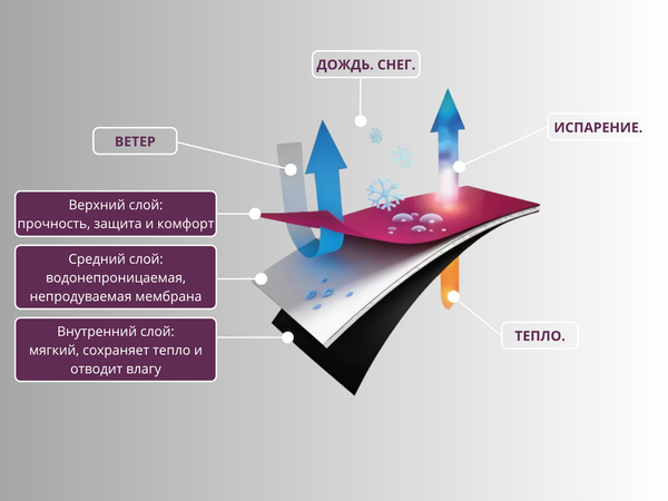 Softshell: за что его любят?